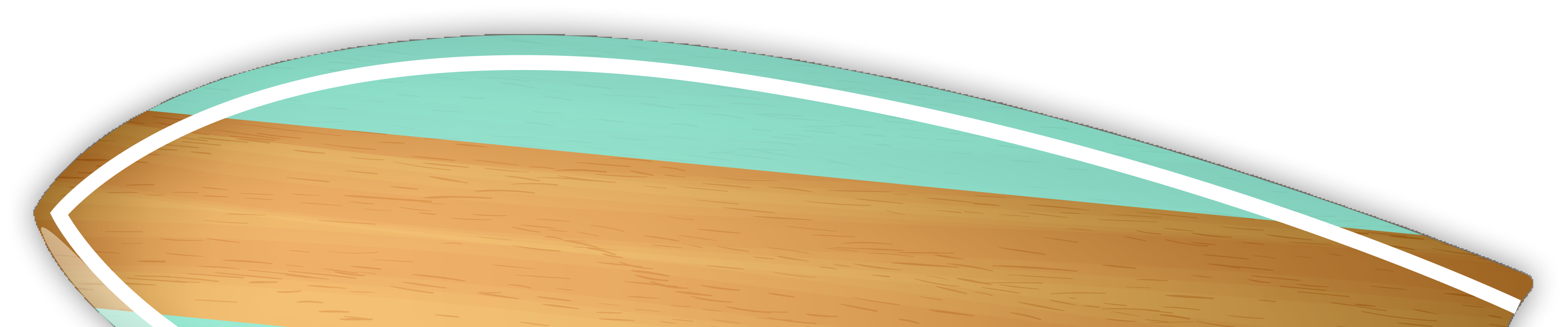 Bottom Surf Board
